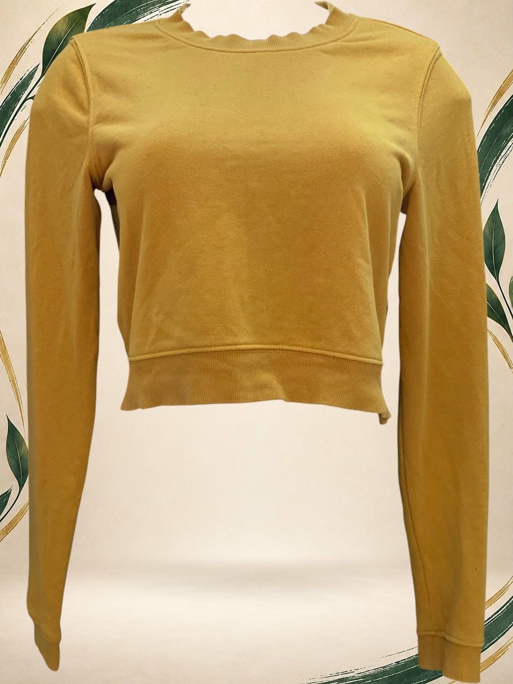 Vista frontal de Buzo / hoodie