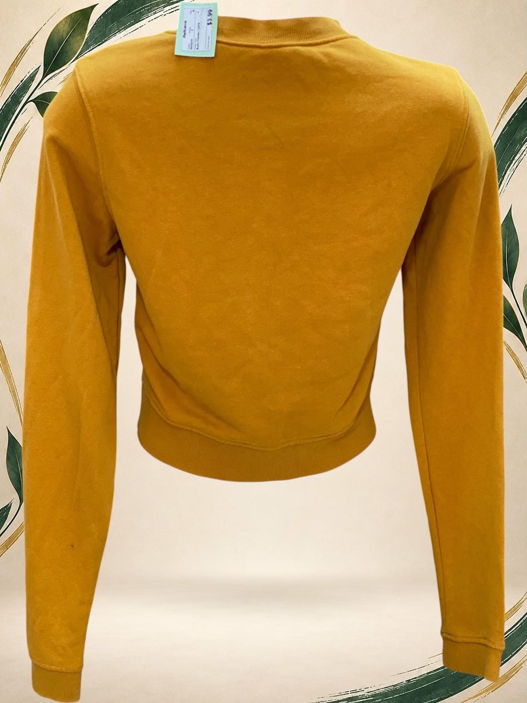 Vista posterior de Buzo / hoodie